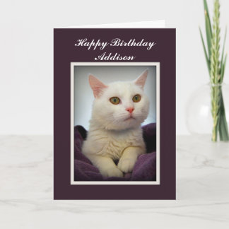 Cartão Addison Happy Birthday White Cat Card