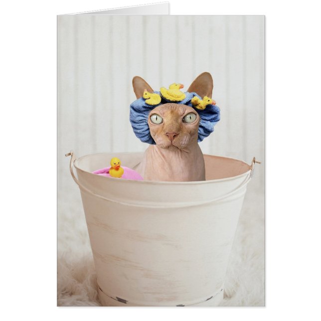 Cartão Adicionar Seu Próprio Texto: Tempo De Banho (Frente)