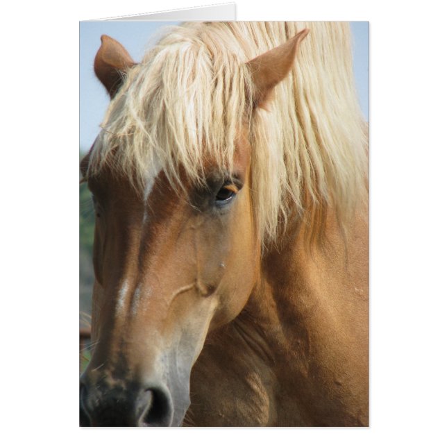 Cartão Adicione seu próprio texto! (Frente)