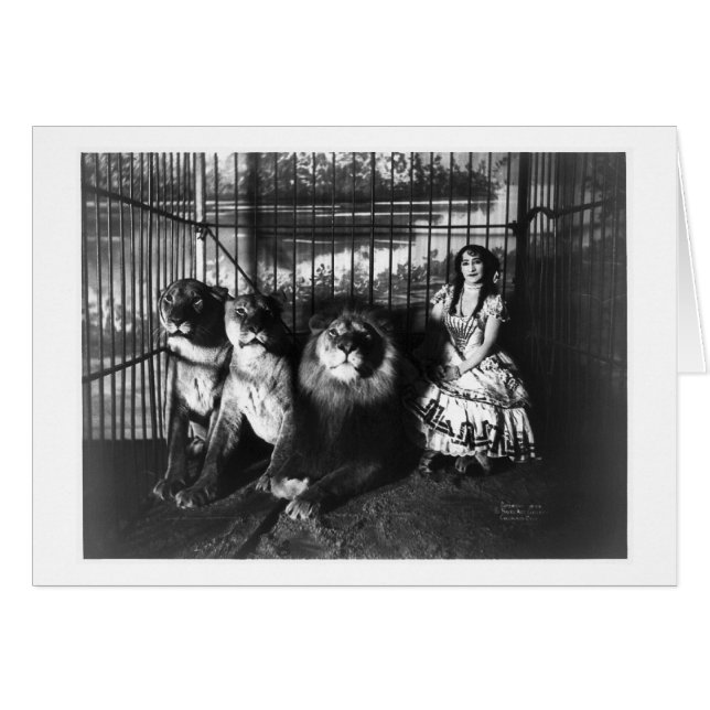 Cartão Adjie e os leões 1899 (Frente Horizontal)