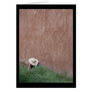 Cartão Adobe Wall & Gardener