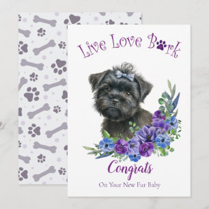 Cartão Adoção de Cachorro Affenpinscher, Dia da Captura