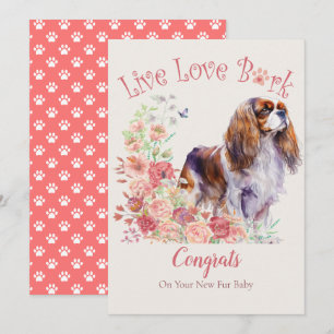 Cartão Adoção de Cachorro Cavalier King Charles Spaniel, 