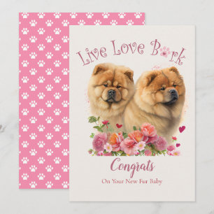 Cartão Adoção de Cachorro Chow Chow, Dia da Captura