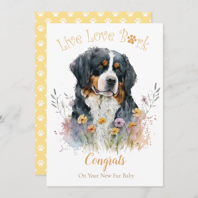 Cartão Adoção de Cães Berneses, Dia da Conquista (Frente/Verso)