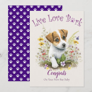 Cartão Adoção de Cães Jack Russell, Dia da Captura