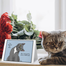 Adoção de Mãe de Gato