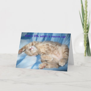 Cartão Adopt a rescue cat Greeting Card