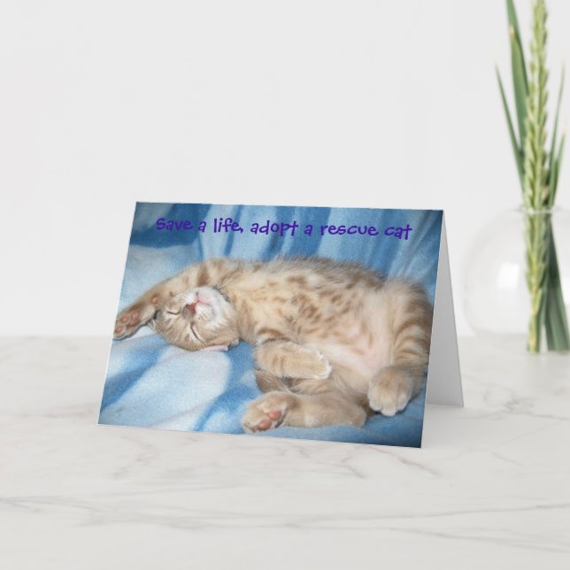 Cartão Adopt a rescue cat Greeting Card (Frente)