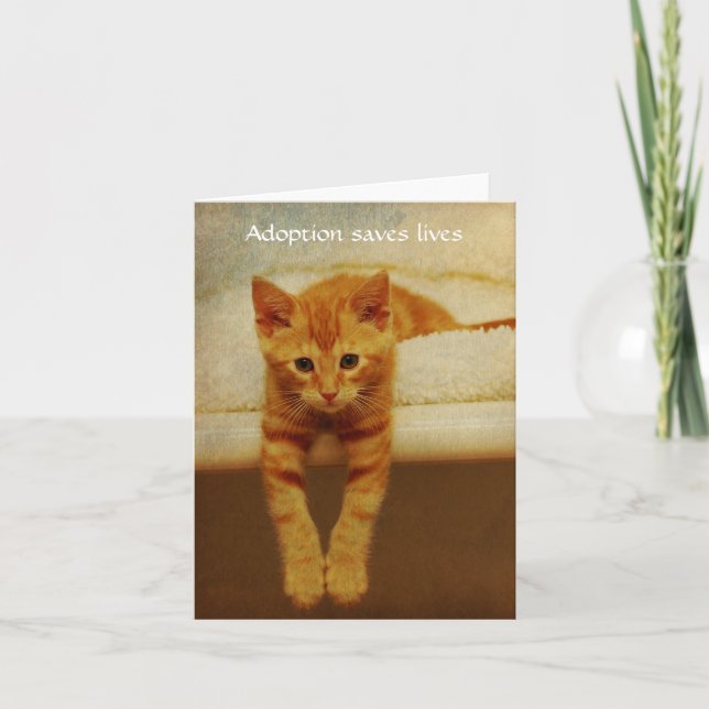Cartão Adoption Save Lives Orange Kitten Notecard (Frente)