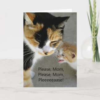 Cartão Adorable Kitty Happy Mother's Day