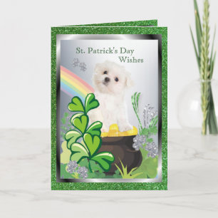Cartão Adorable Maltese Puppy - St. Patrick’s Day Message