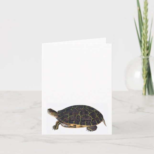 Cartão Adorable turtle note card (Frente)