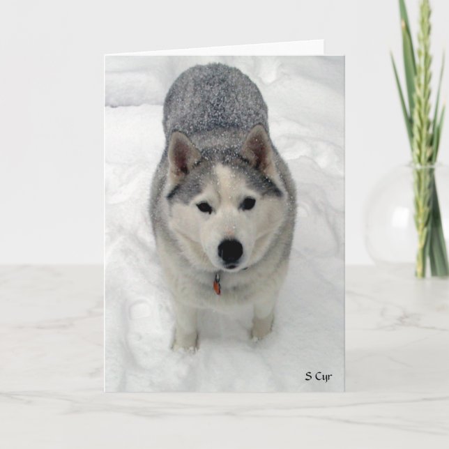 Cartão Adoração total, S Cyr (Frente)