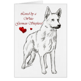 Cartão Adorado Por Um German shepherd Branco