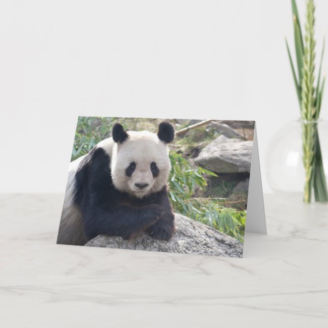 Cartão Adorável Giant Panda (Frente)