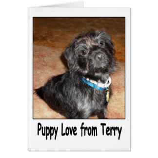 Cartão Adorável "Puppy Love From Terry"