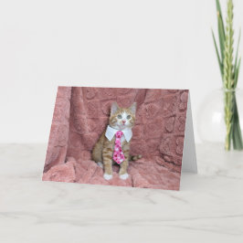 Cartão Adorável toranja e gatinho branco Louie numa grava