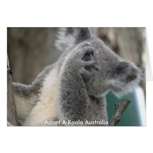 Cartão Adota Pata Koala Austrália (Frente Horizontal)
