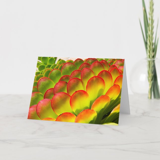 Cartão Aeonium note card by Debra Lee Baldwin (Frente)