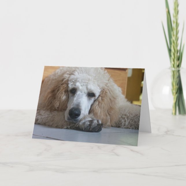 Cartão Aero-1 (Frente)