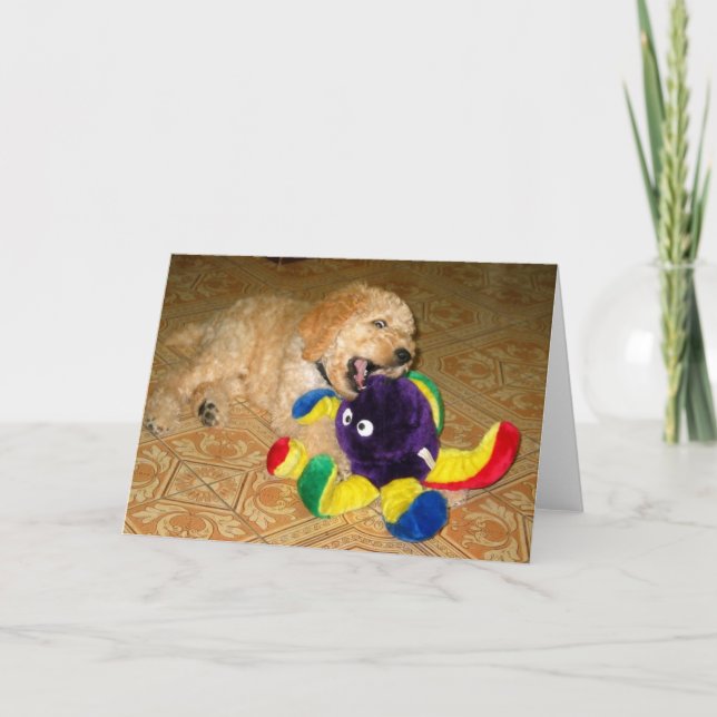 Cartão Aero 5 (Frente)