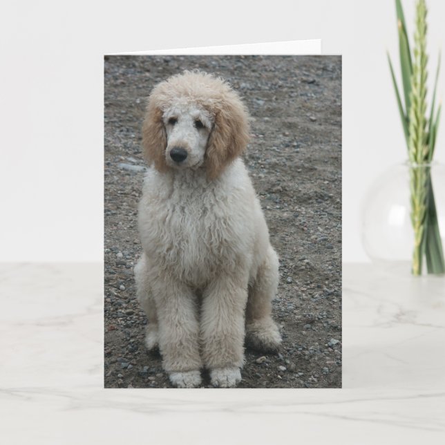 Cartão Aero 7 (Frente)