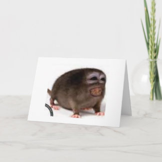 Cartão affectionate birthday card