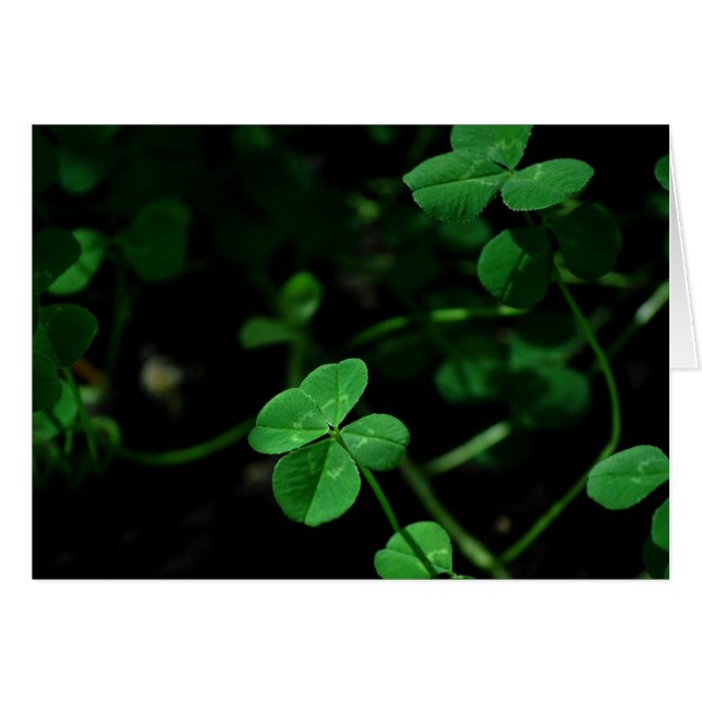 Cartão Afortunado (Frente Horizontal)