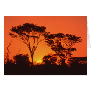 Cartão África do Sul. Pôr do sol africano.