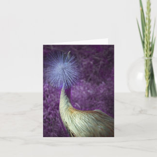 Cartão african crowned crane - purple