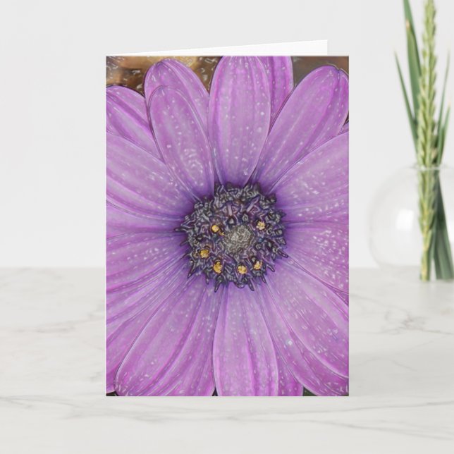 Cartão African Daisy Greeting Card (Frente)