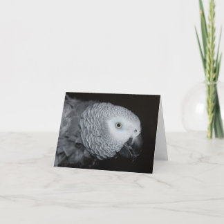 Cartão African Grey Note Card