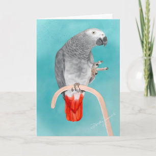 Cartão African Grey Parrot