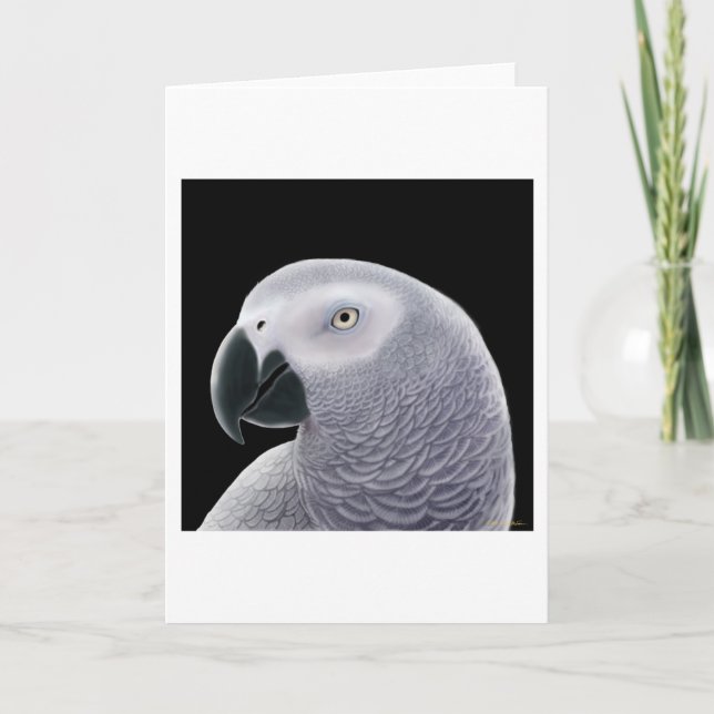 Cartão African Grey Parrot Greeting Card (Frente)