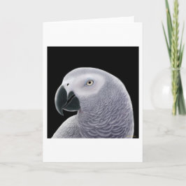 Cartão African Grey Parrot Greeting Card