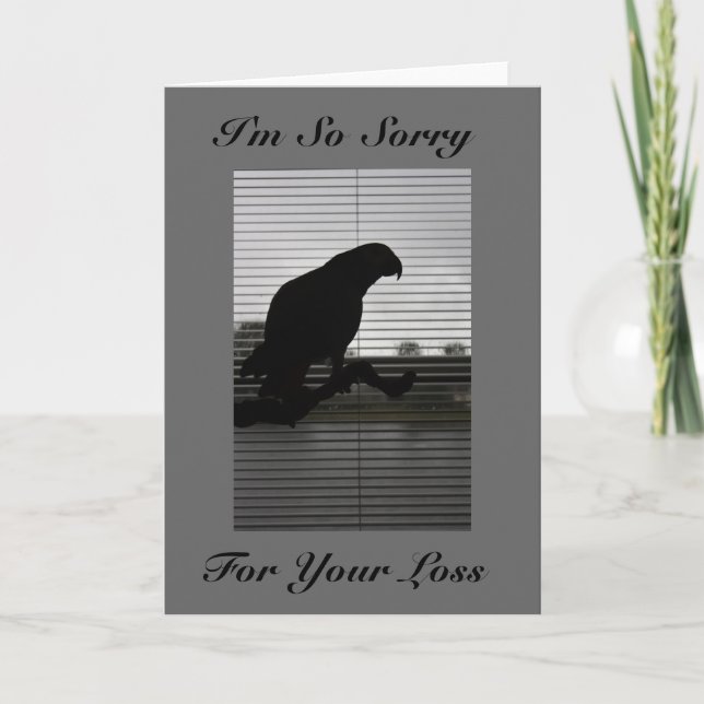 Cartão African Grey Silhouette Sympathy Greeting Card (Frente)