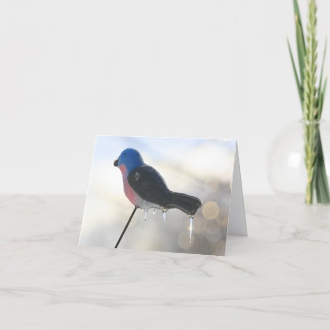 Cartão After The Storm Winter Nature Photography Note (Frente)