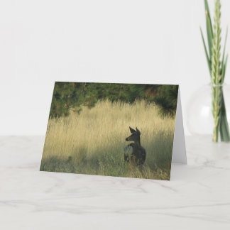 Cartão Afternoon Mulie, Greeting Card by Mark Easton