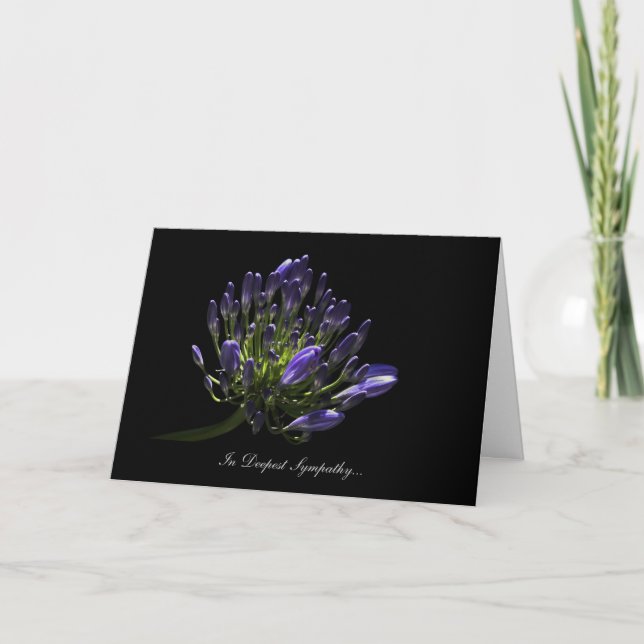 Cartão Agapanthus, African Lily - Em Grande Simpatia (Frente)