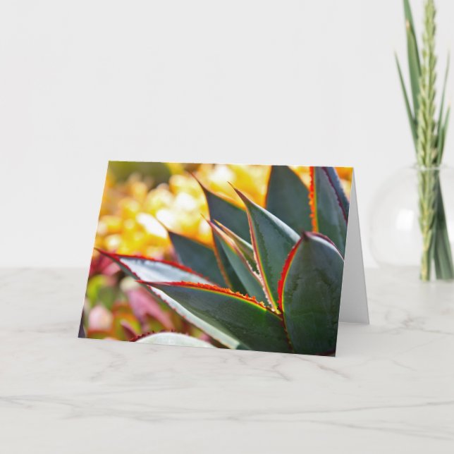 Cartão Agave 'Blue Glow' note card by Debra Lee Baldwin (Frente)