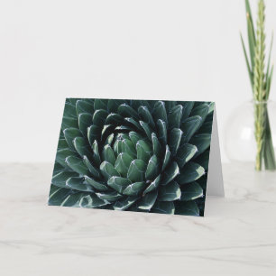 Cartão Agave Verde