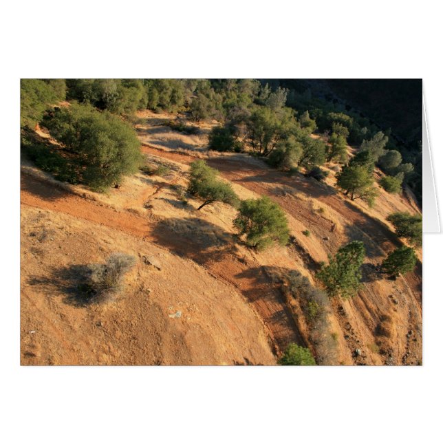 Cartão AgLe'S Ye vIeW (Frente Horizontal)