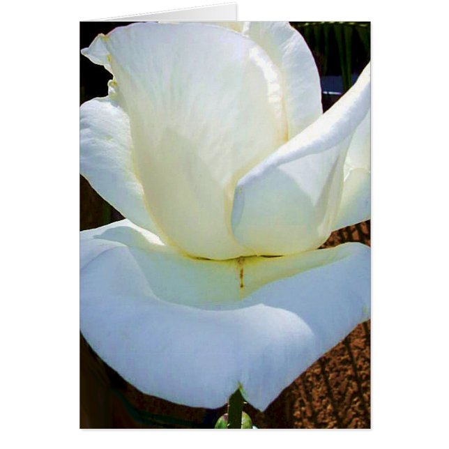 Cartão Agora e para sempre (Frente)