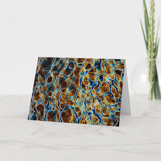 CARTÃO ÁGUA (Frente)