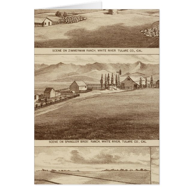 Cartão Água Branca, fazendas de Saucelito (Frente)