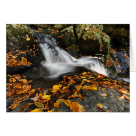 Cartão Água de sopro