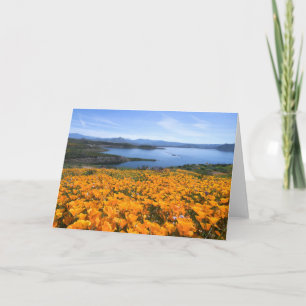 Cartão Água   Lago California Com Poppies Ouros