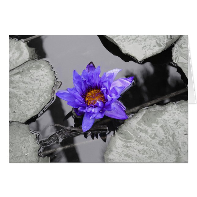 Cartão Água Lily (Frente horizontal)