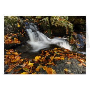 Cartão Água reconfortante